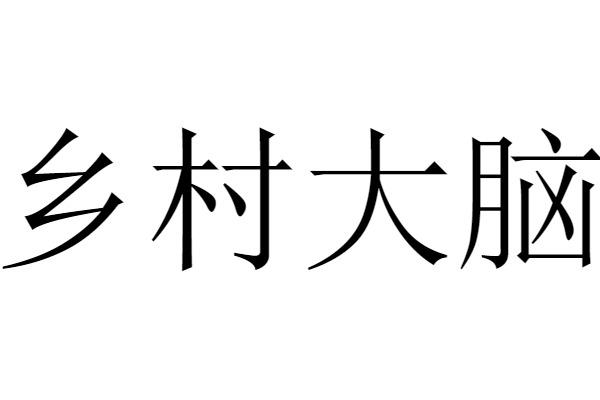 乡村大脑