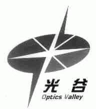 光谷;OPTICS VALLEY
