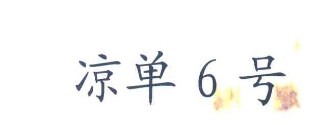 凉单6号