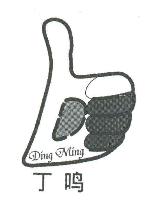 丁鸣