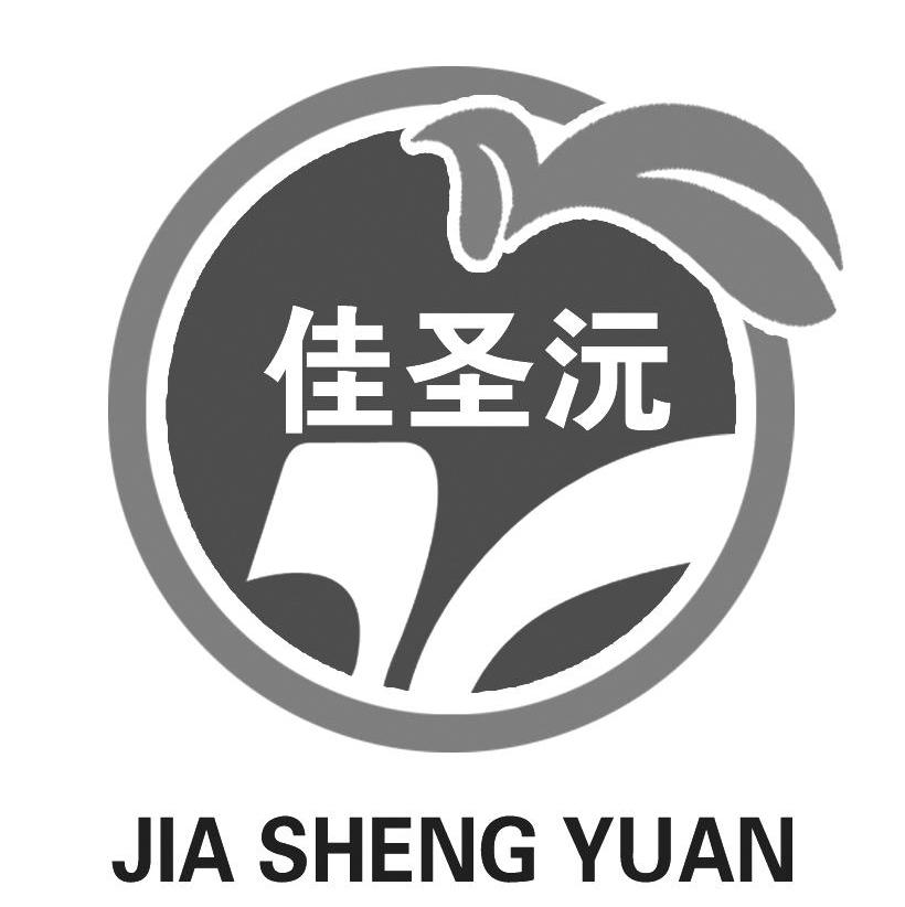 佳圣沅