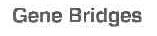 GENE BRIDGES