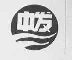 中发