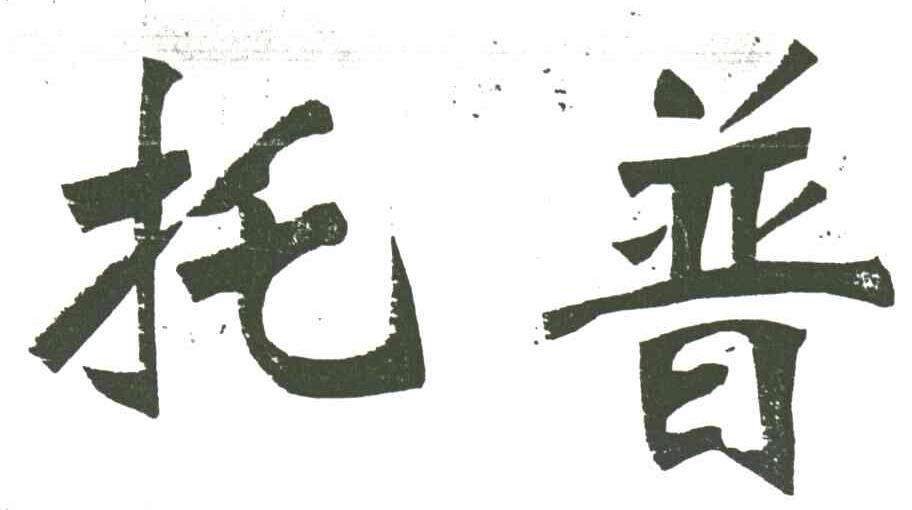 托普