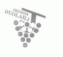 ZHONGYI DUOLAILI