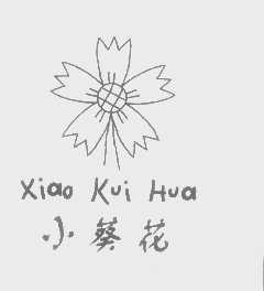 小葵花