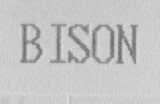 BISON