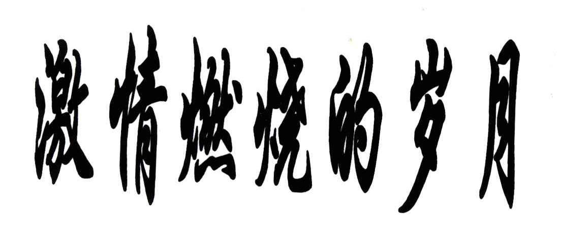 激情燃烧的岁月