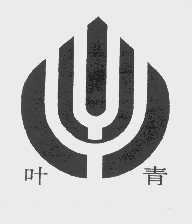 叶青