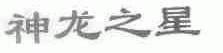 神龙之星