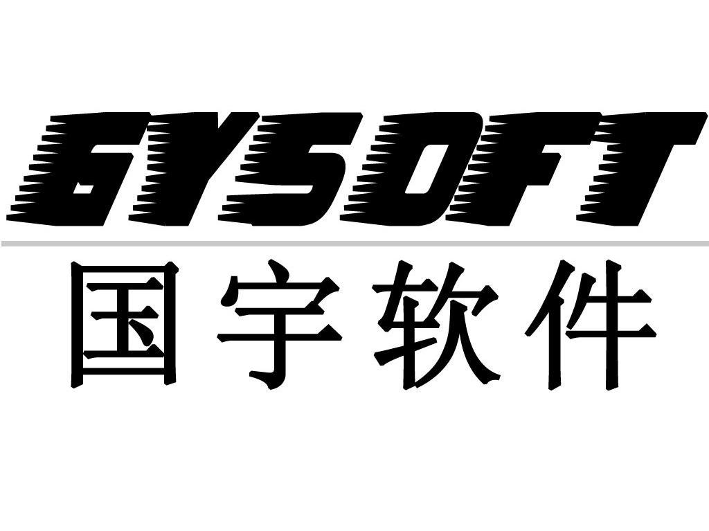 国宇软件 GYSOFT