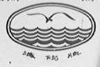 海鸽