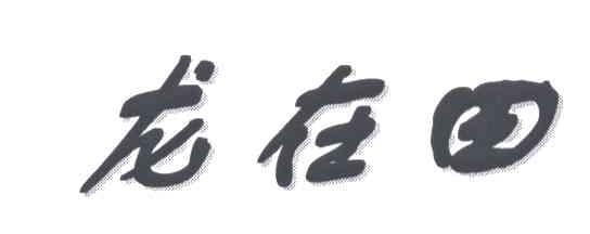 龙在田