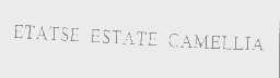 ETATSE ESTATE CAMELLIA