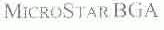 MICROSTARBGA