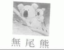 无尾熊