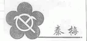 秦梅