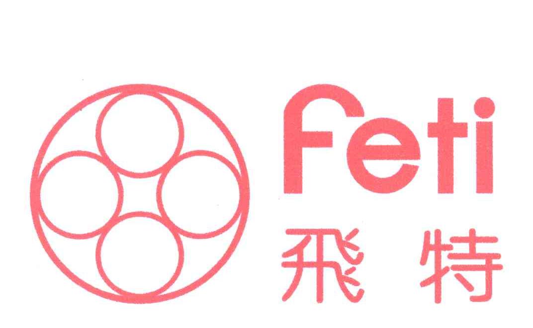飞特;FETI