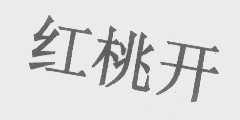红桃开