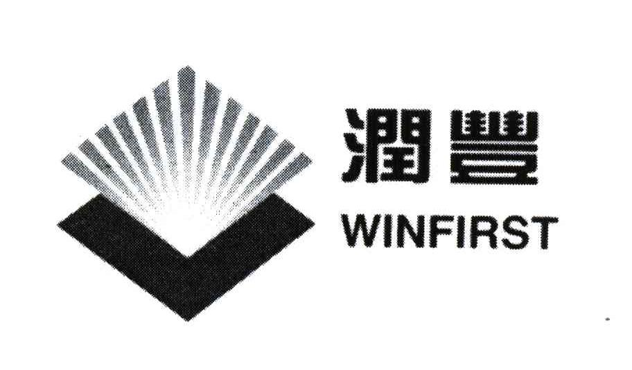 润丰;WINFIRST