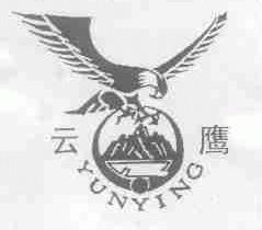 云鹰