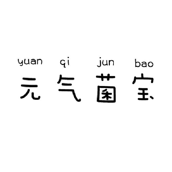 元气菌宝