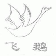 飞鹅