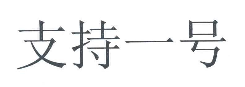 支持一号