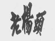 老杨头
