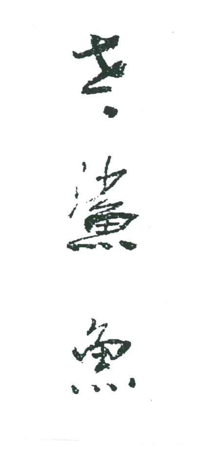 老鲨鱼