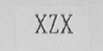 XZX