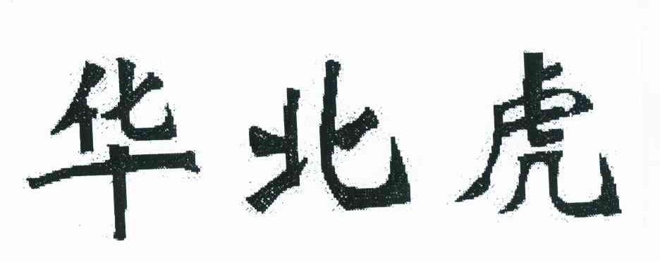 华北虎