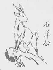 石羊公