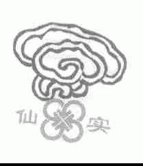 仙实