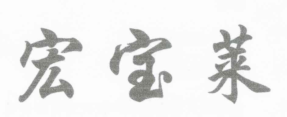 宏宝莱