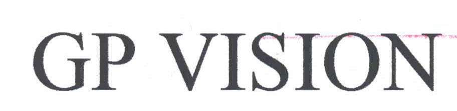 GP VISION