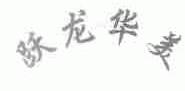 跃龙华美