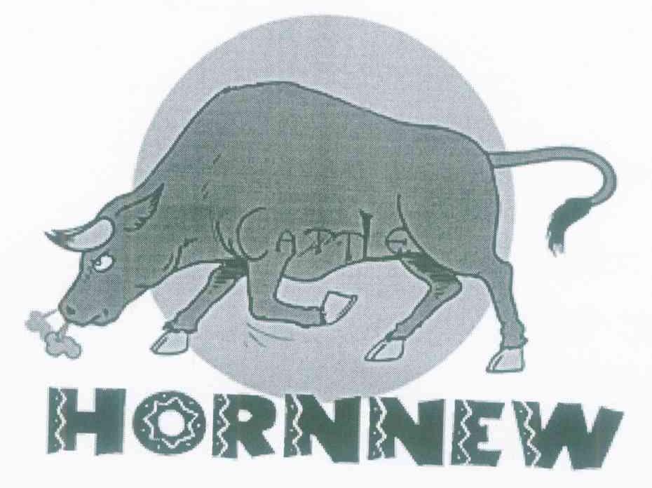 HORNNEW