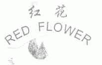 红花;RED FLOWER