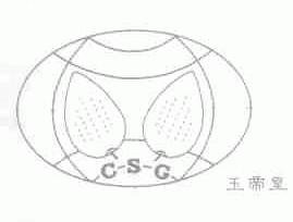玉帝皇;CSG