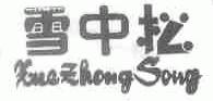 雪中松