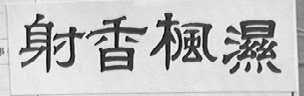 射香枫湿