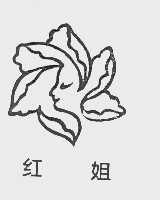 红姐