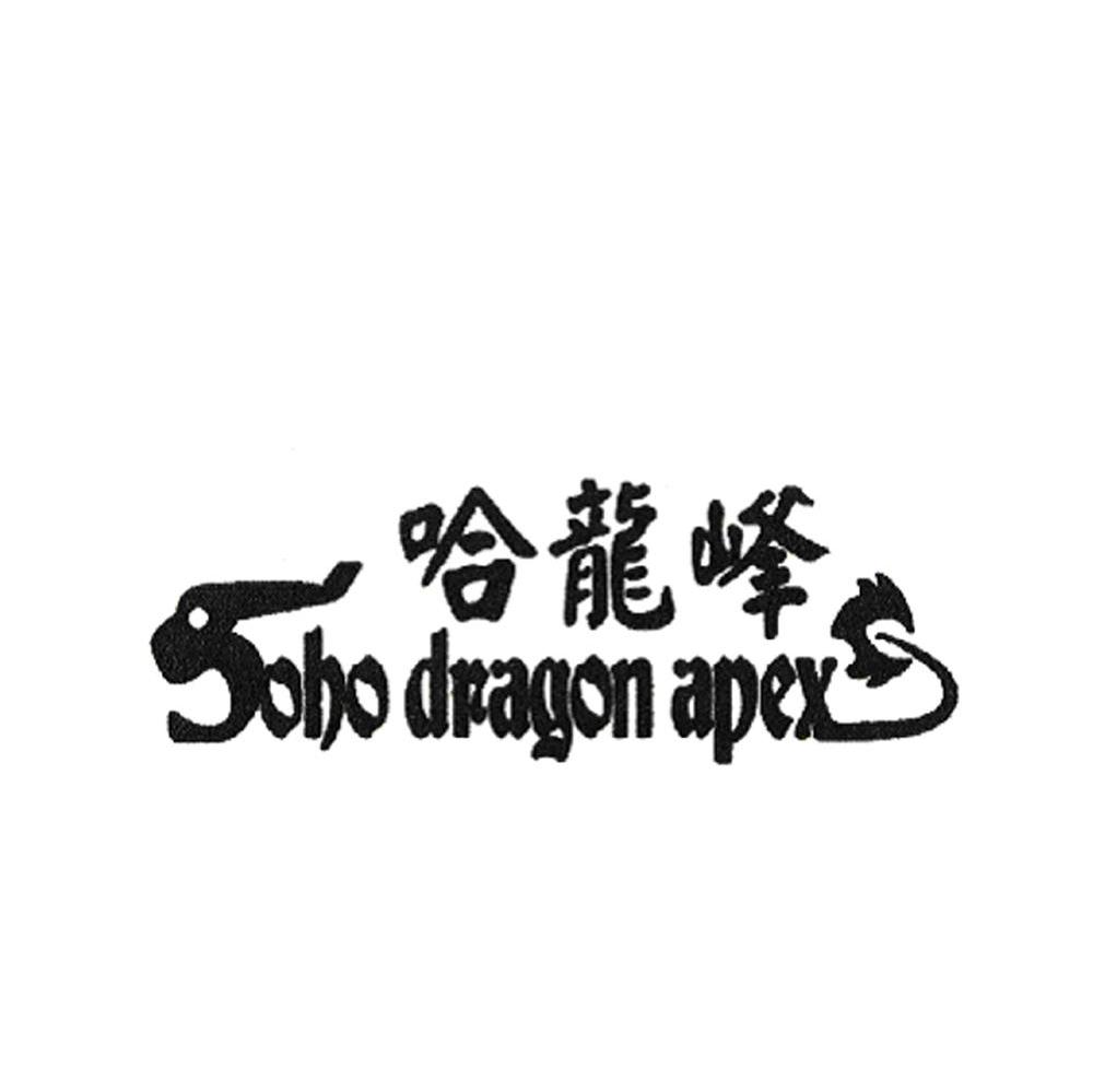 哈龙峰 SOHO DRAGON APEX