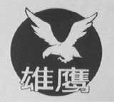 雄鹰