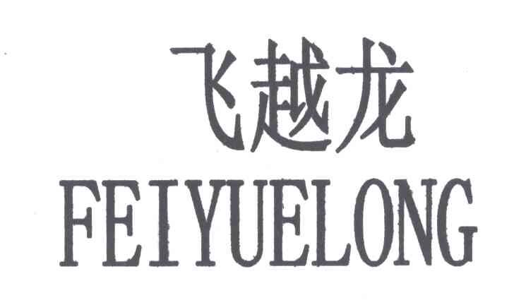 飞越龙