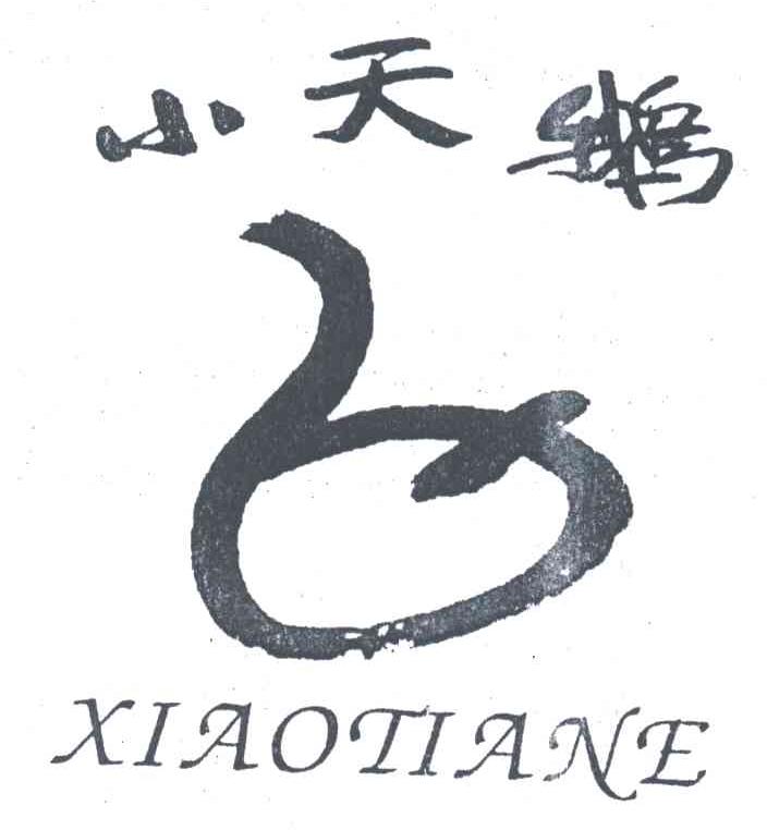 小天鹅