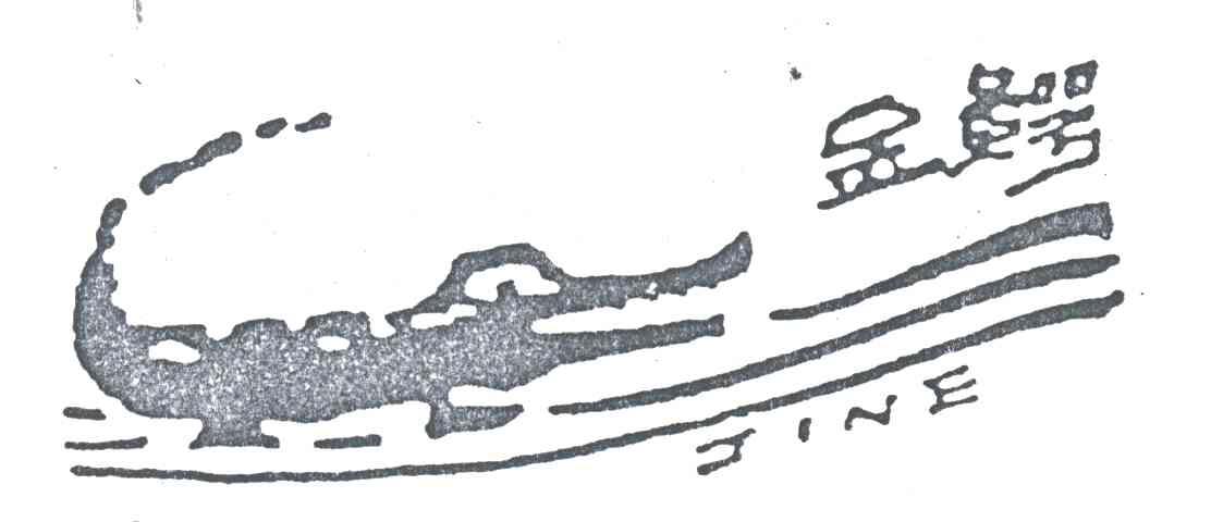 金鳄