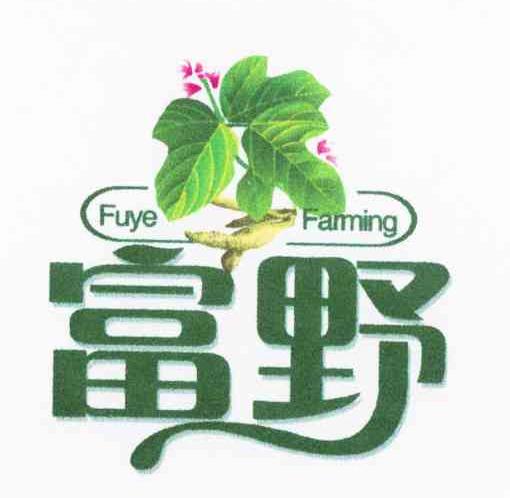 富野 FUYE FAMNING