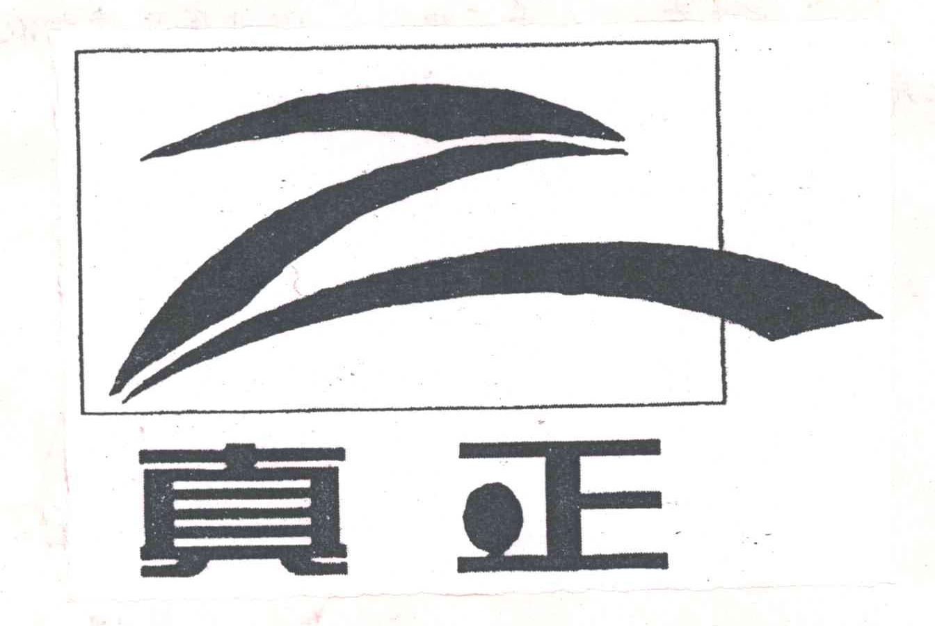 真正
